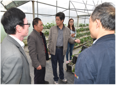 深耕產(chǎn)業(yè)一線(xiàn)，助力鄉(xiāng)村振興——園藝學(xué)院教工第二黨支部赴周寧、政和開(kāi)展黨員活動(dòng)日活動(dòng)